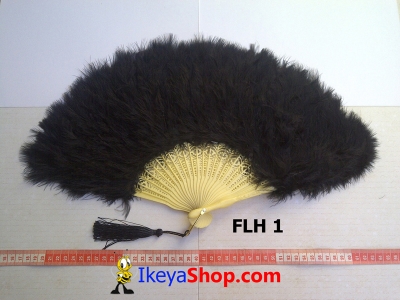 FLH 1  large2